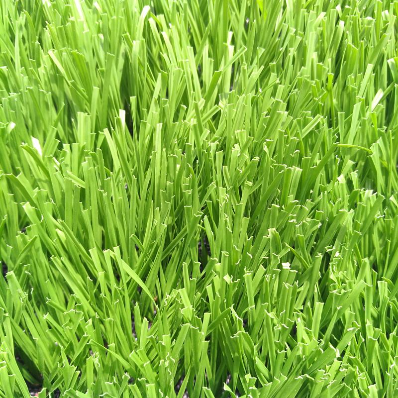 faux sport d'herbe