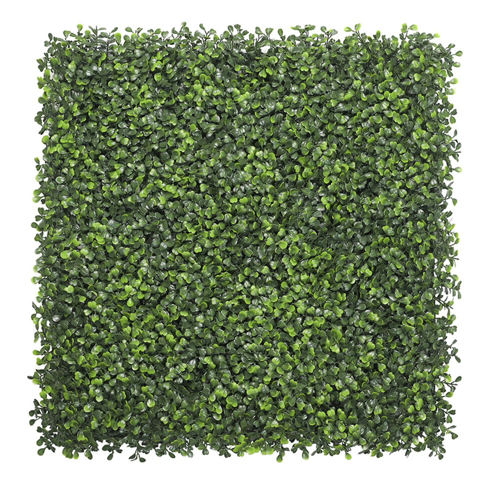 CYT9181- CYT9181-