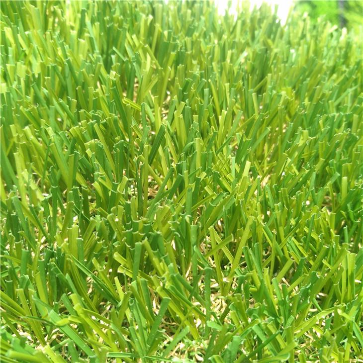 Backyard Synthetic Landscape Grass