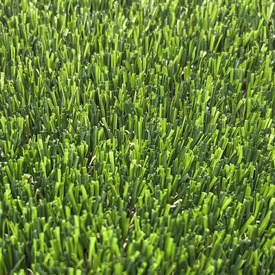 Herbe simulée